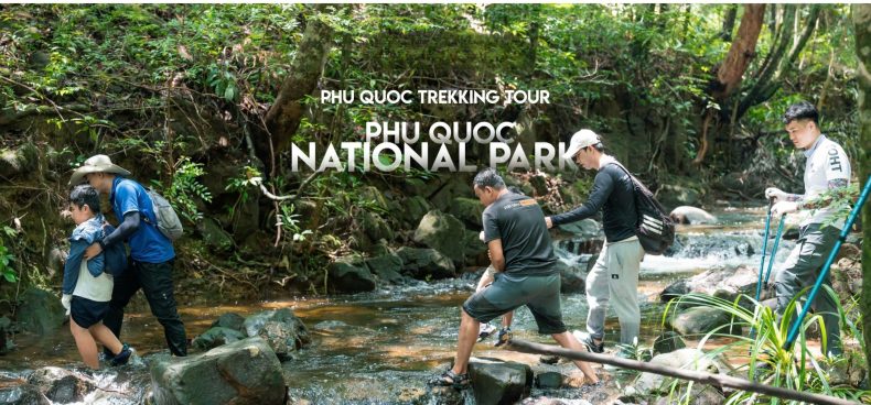 Trekking rừng Phú Quốc: Chạm vào vẻ đẹp hoang sơ của đảo ngọc