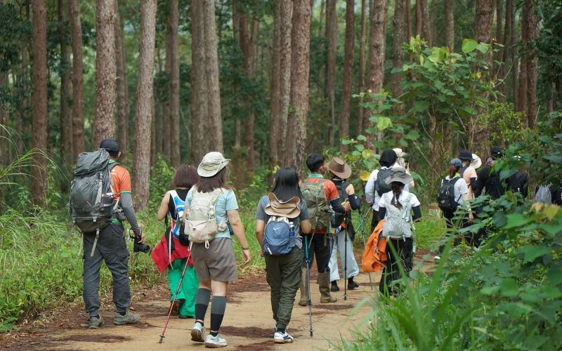 Kinh nghiệm trekking rừng Phú Quốc an toàn