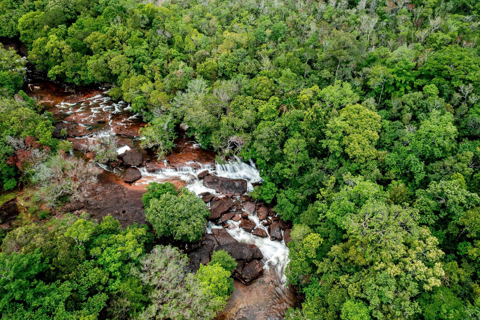 Thời điểm lý tưởng để trekking rừng Phú Quốc