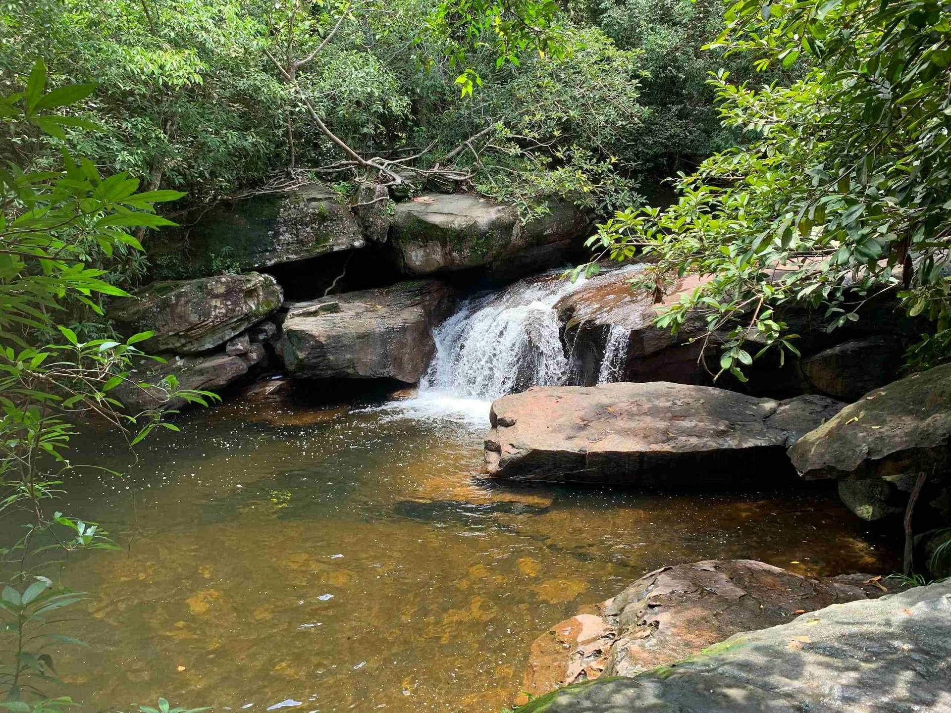Suối Tiên - Trekking nhẹ nhàng giữa rừng xanh và dòng suối mát
