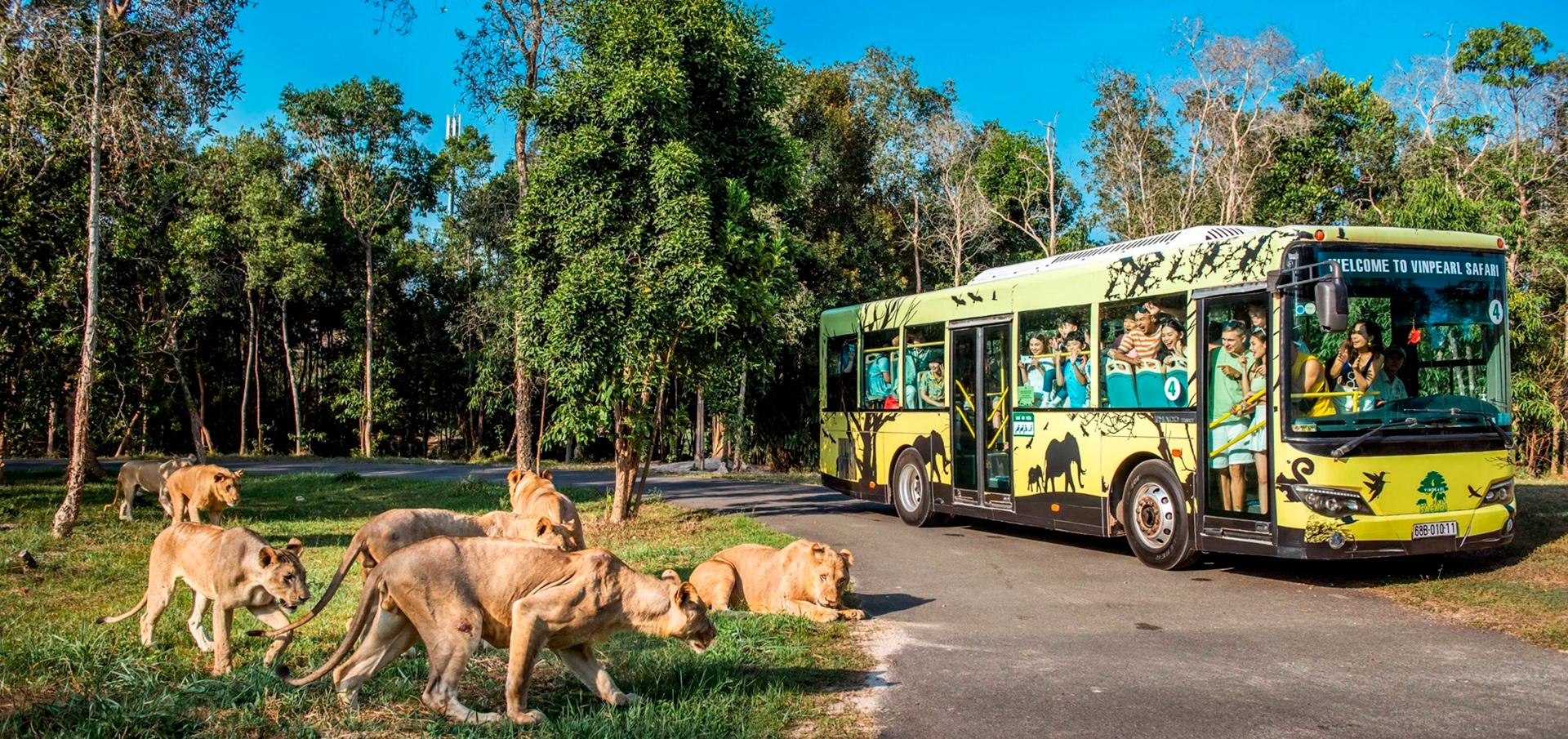 Vinpearl Safari là công viên bảo tồn động vật bán hoang dã lớn nhất Việt Nam